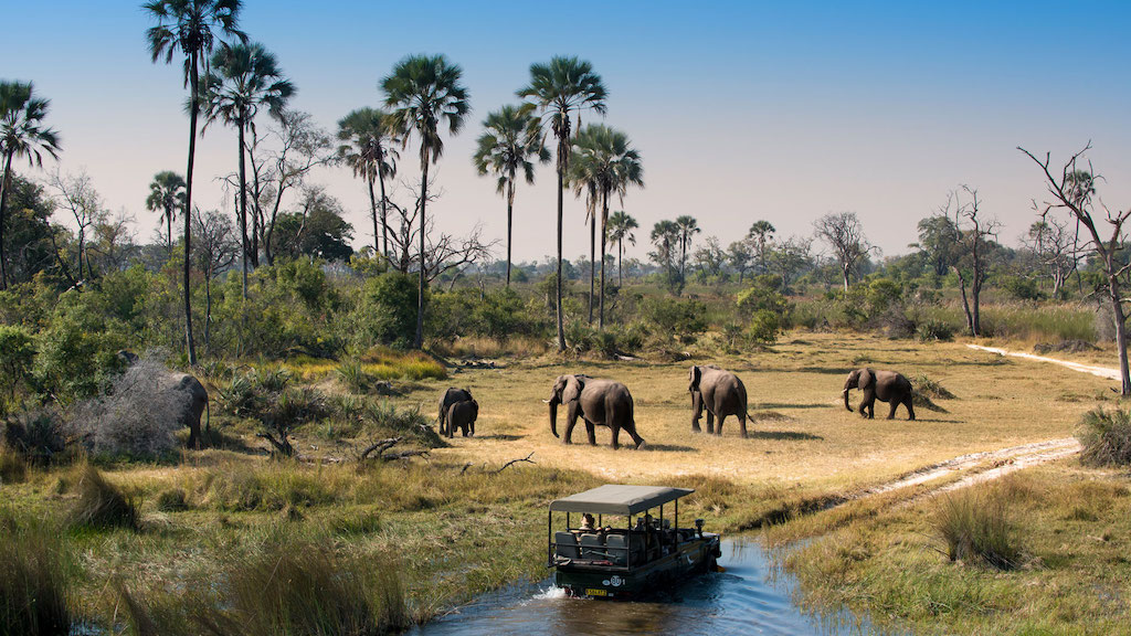 Read more about the article Ultimate Guide to Planning a Luxury Safari in Africa