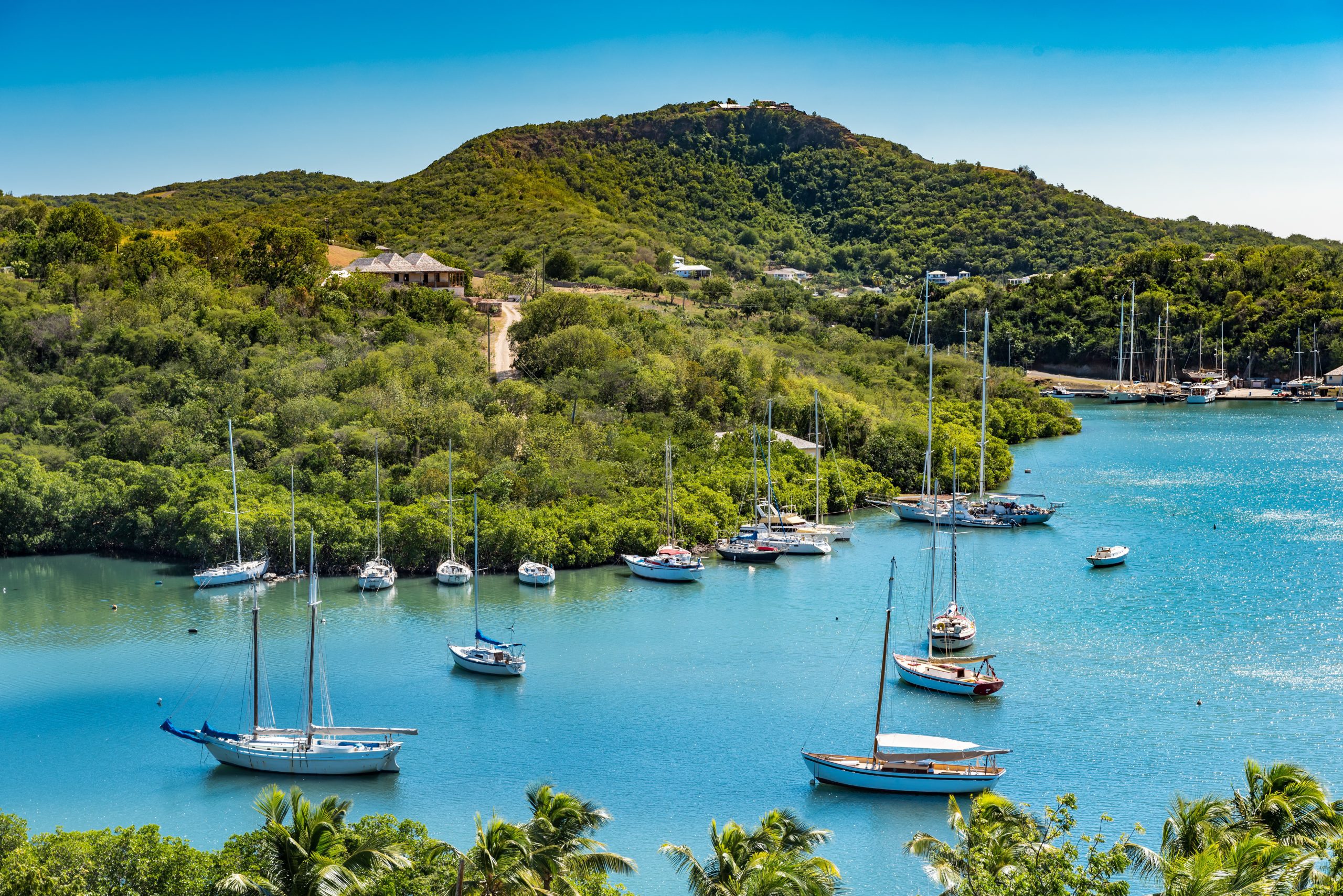 Read more about the article Antigua