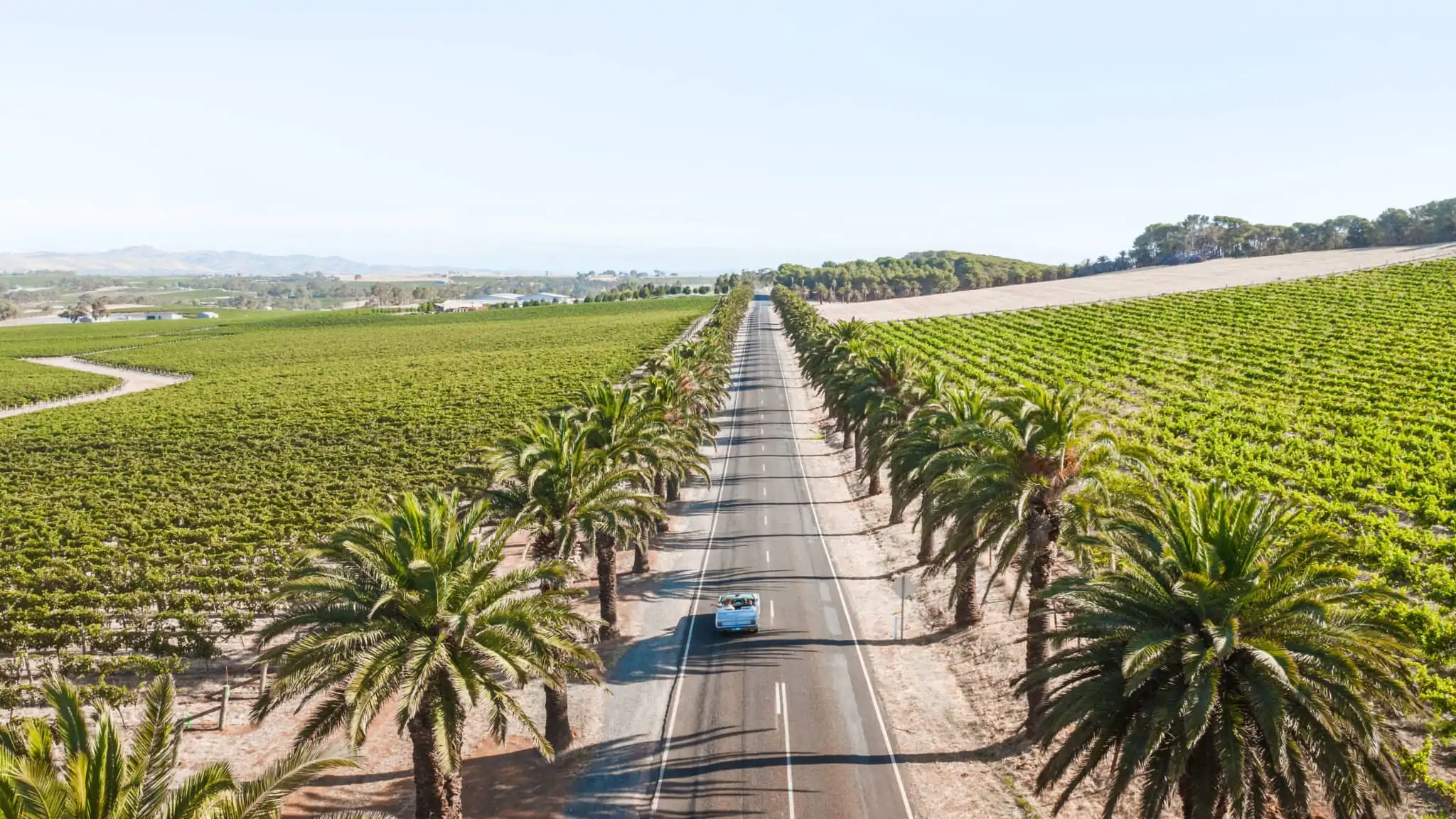 Barossa Valley wine tasting