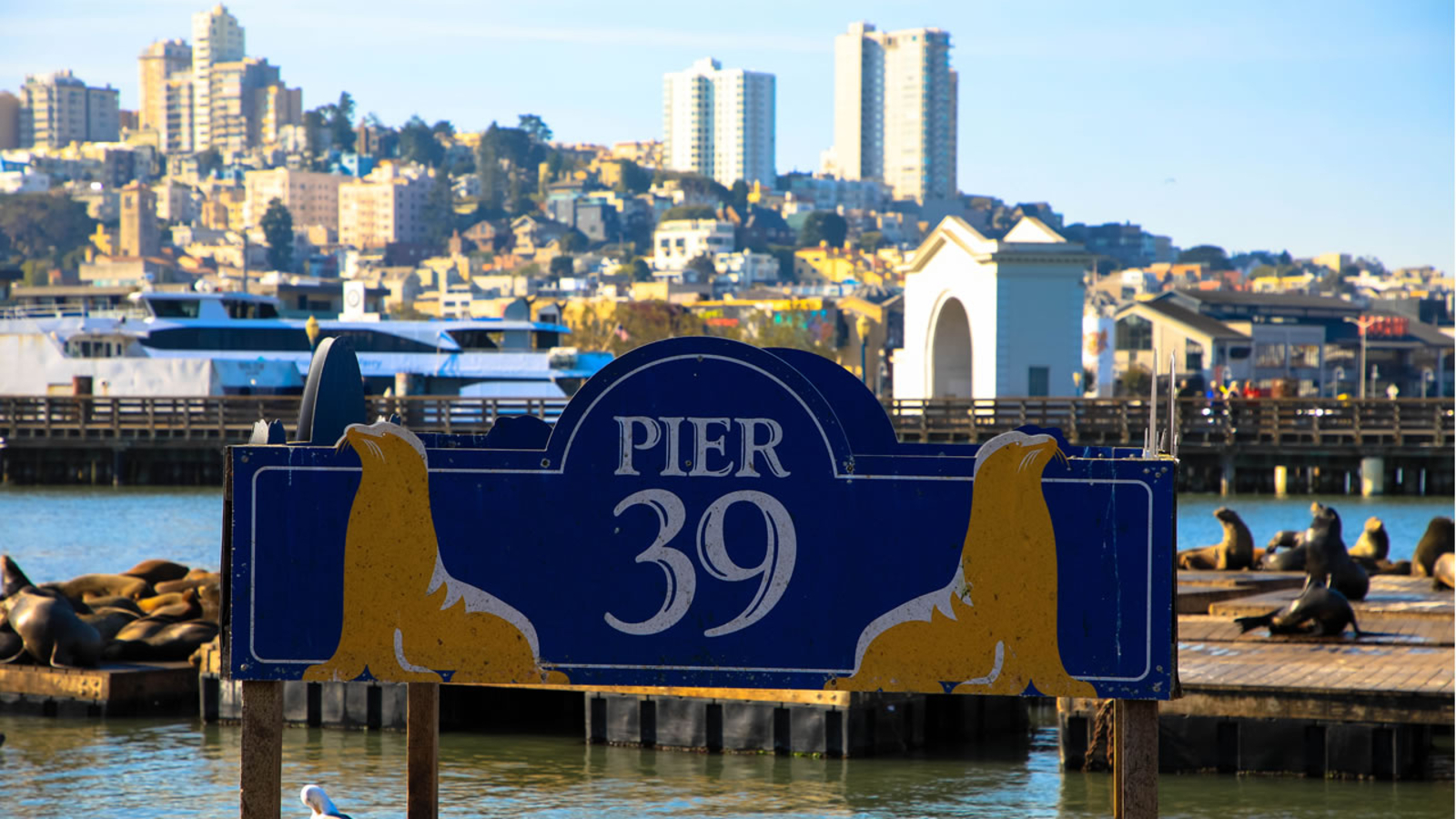 10728651_060121-kgo-shutterstock-pier-39-img