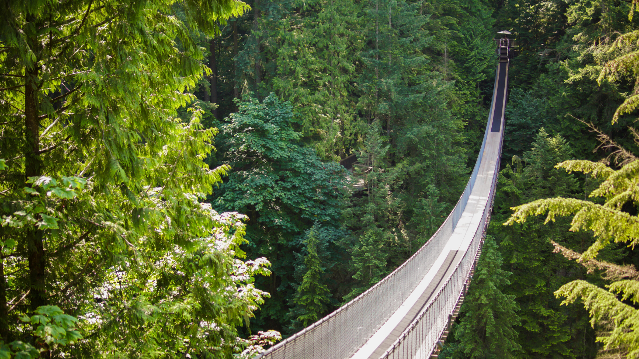 Capilano-Featured-Image