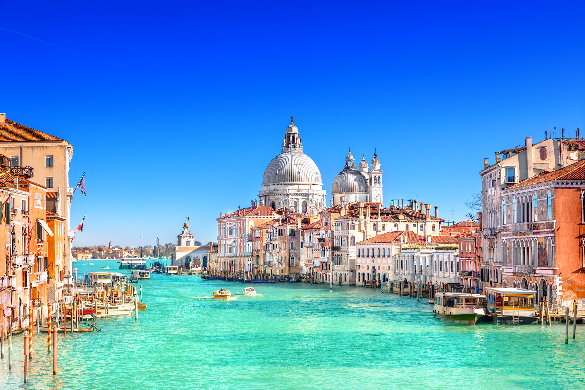 Read more about the article Venice