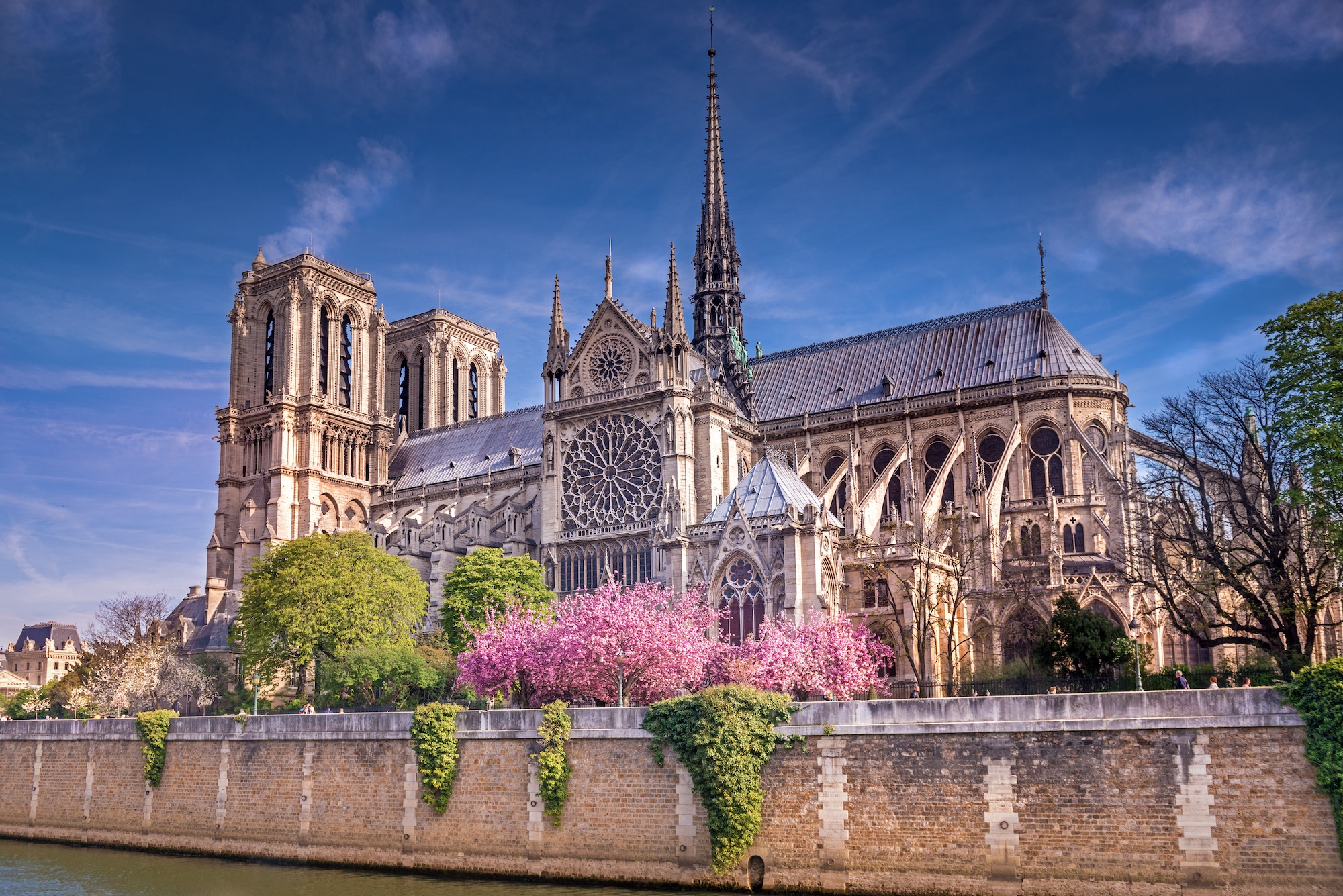 Read more about the article Paris
