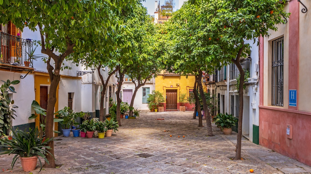 View of a corner of the Santa Cruz neighborhood of Seville, with houses with colorful facades and orange trees