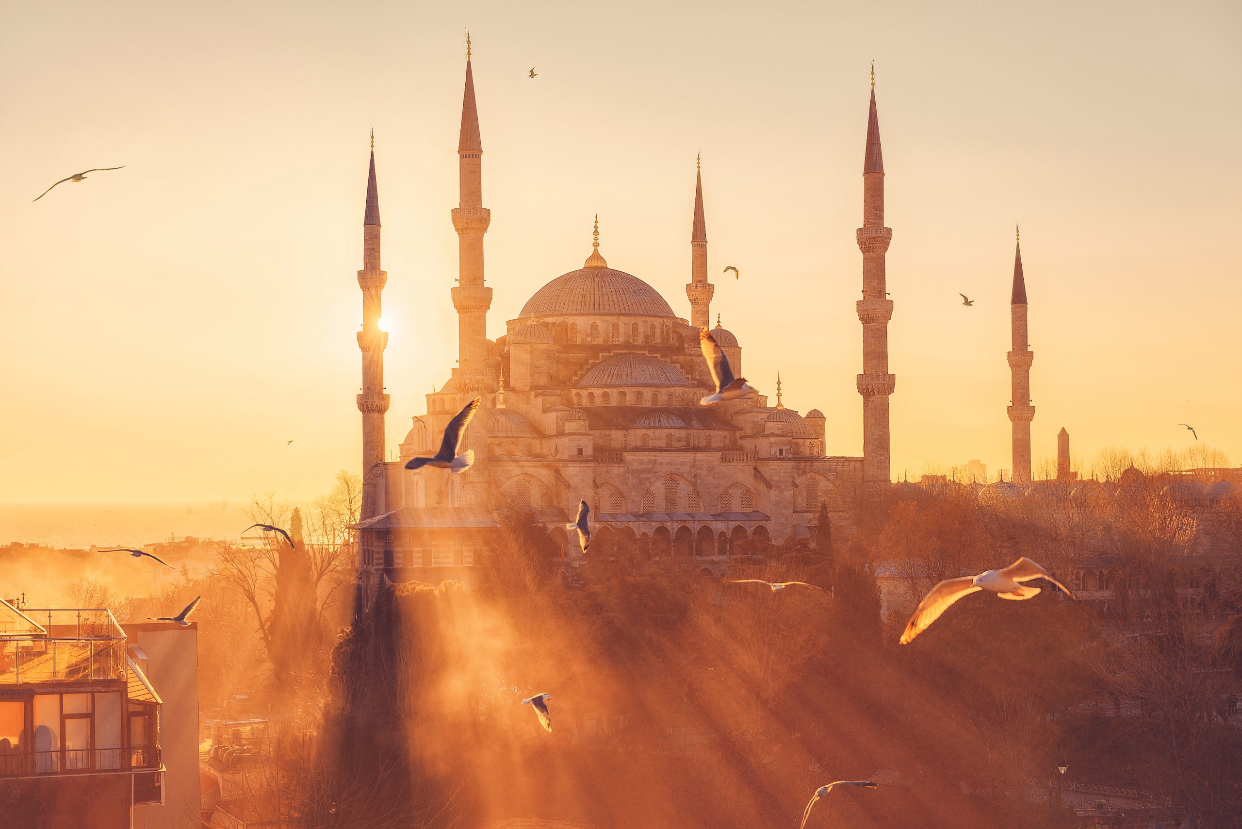 Read more about the article Istanbul